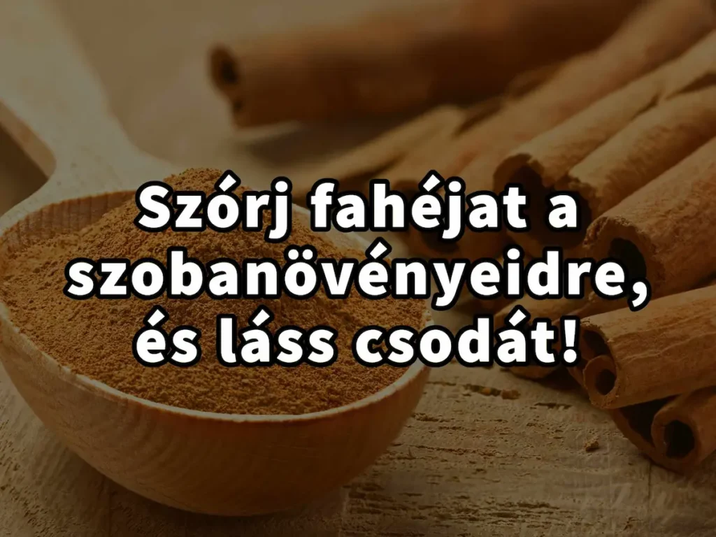 Szórj fahéjat a szobanövényeidre