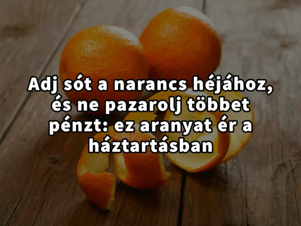 Adj sót a narancs héjához és ne pazarolj többet pénzt mert ez aranyat ér a háztartásban