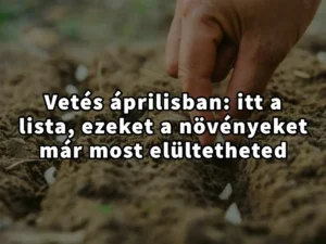 Vetés áprilisban: itt a lista ezeket a növényeket már most elültetheted