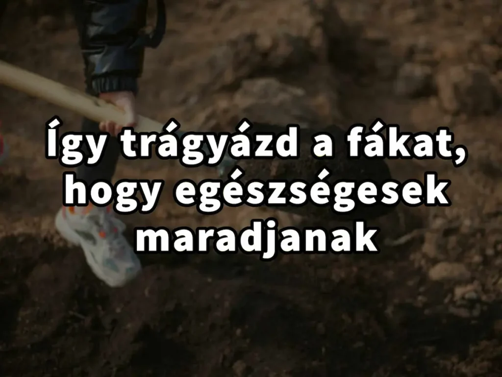 Így trágyázd a fákat, hogy egészségesek maradjanak