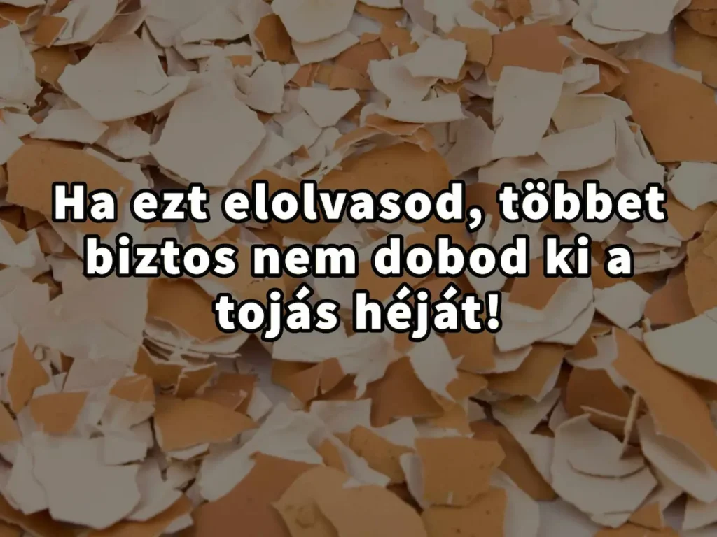 Ha ezt elolvasod többet biztos nem dobod ki a tojás héját