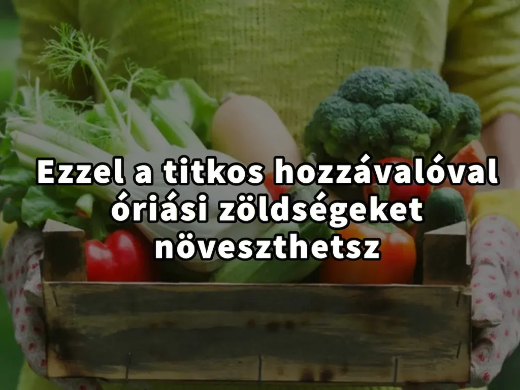 ezzel a titkos hozzávalóval óriási zöldségeket növeszthetsz