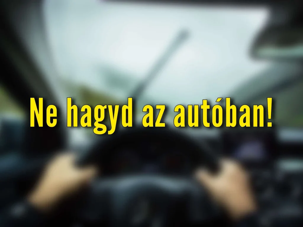 Ezt a 7 dolgot sose hagyd hidegben az autóban