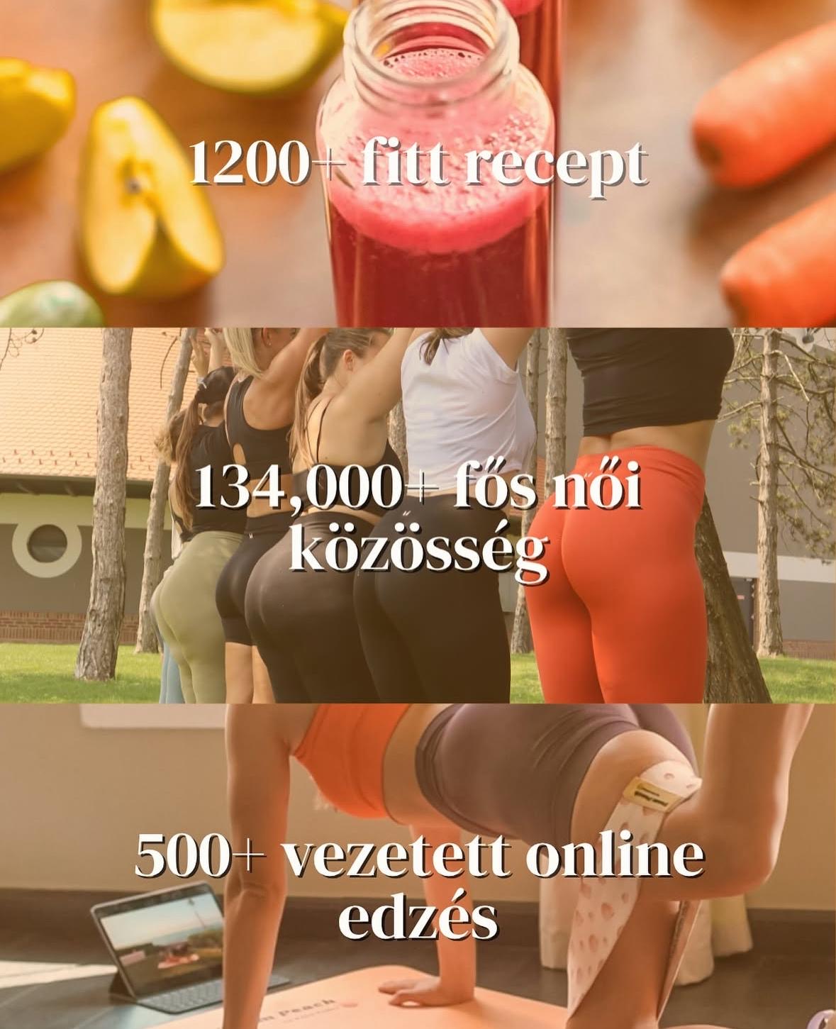Barackcsapat Online Edz s N knek Magyarorsz g Legnagyobb N i barackcsapat-online-edz-s-n-knek-magyarorsz-g-legnagyobb-n-i