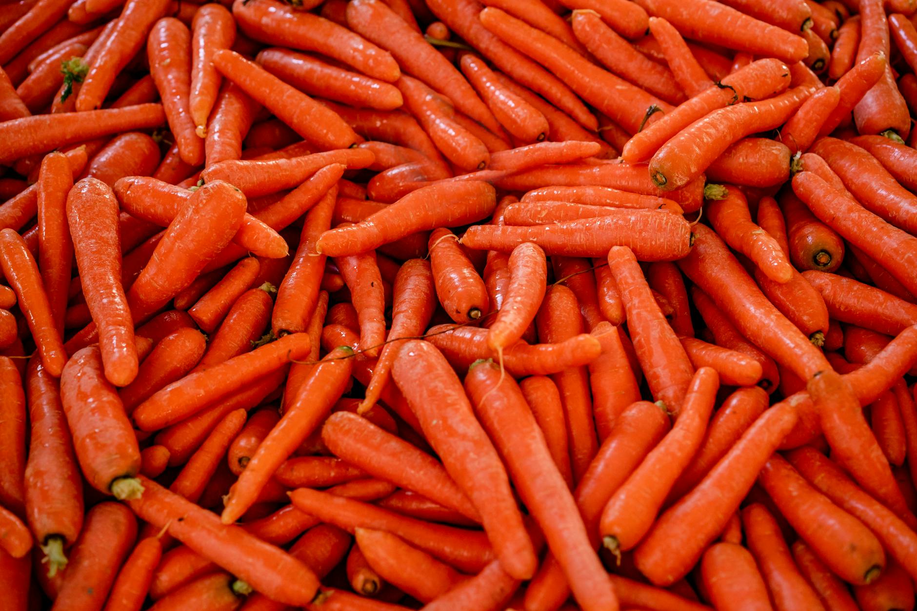 A close-up view of a pile of fresh orange carrots, showcasing their vibrant color and texture.