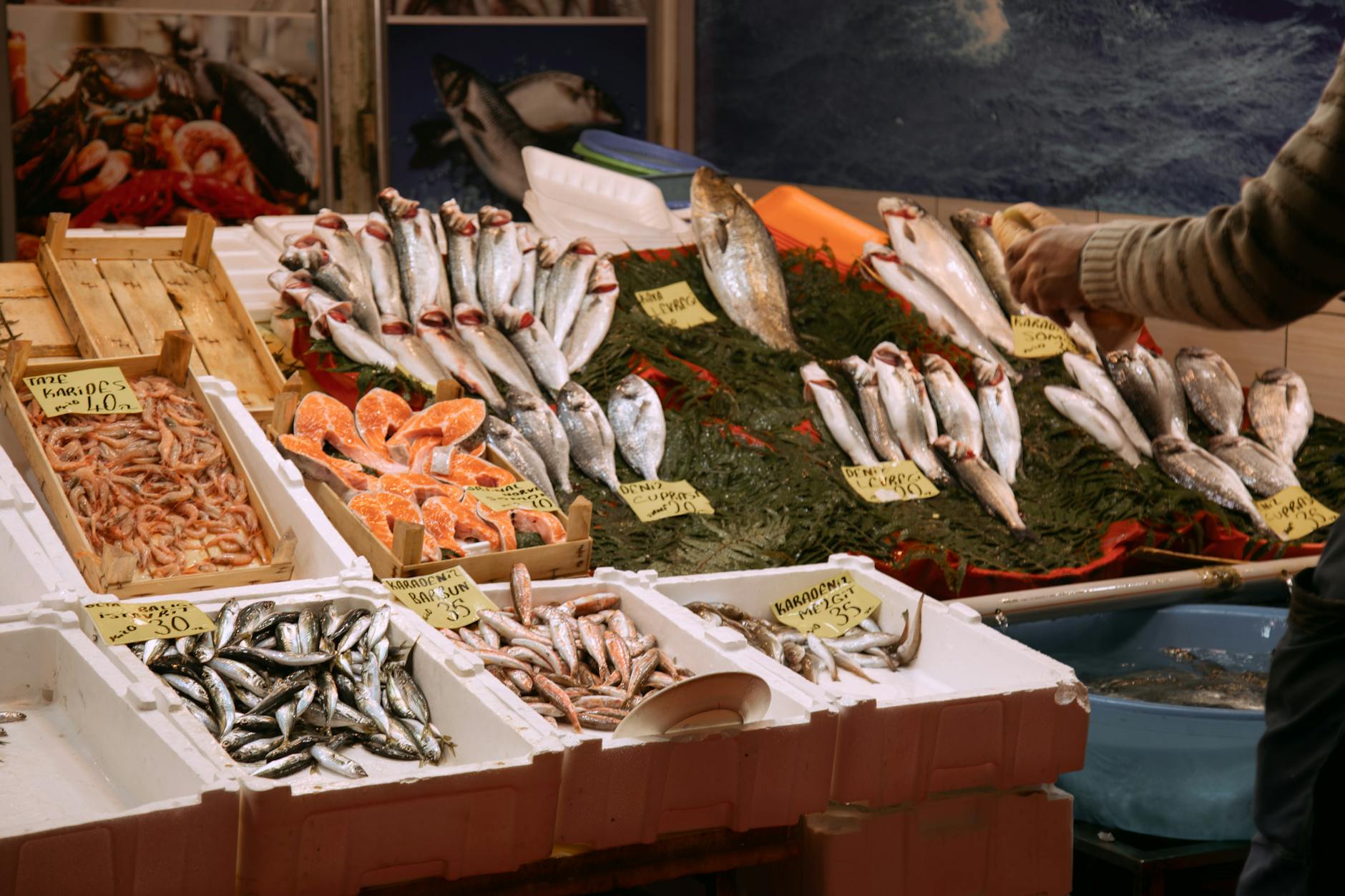 Vibrant seafood display at a market in Istanbul, showcasing various fresh fish and shrimp.