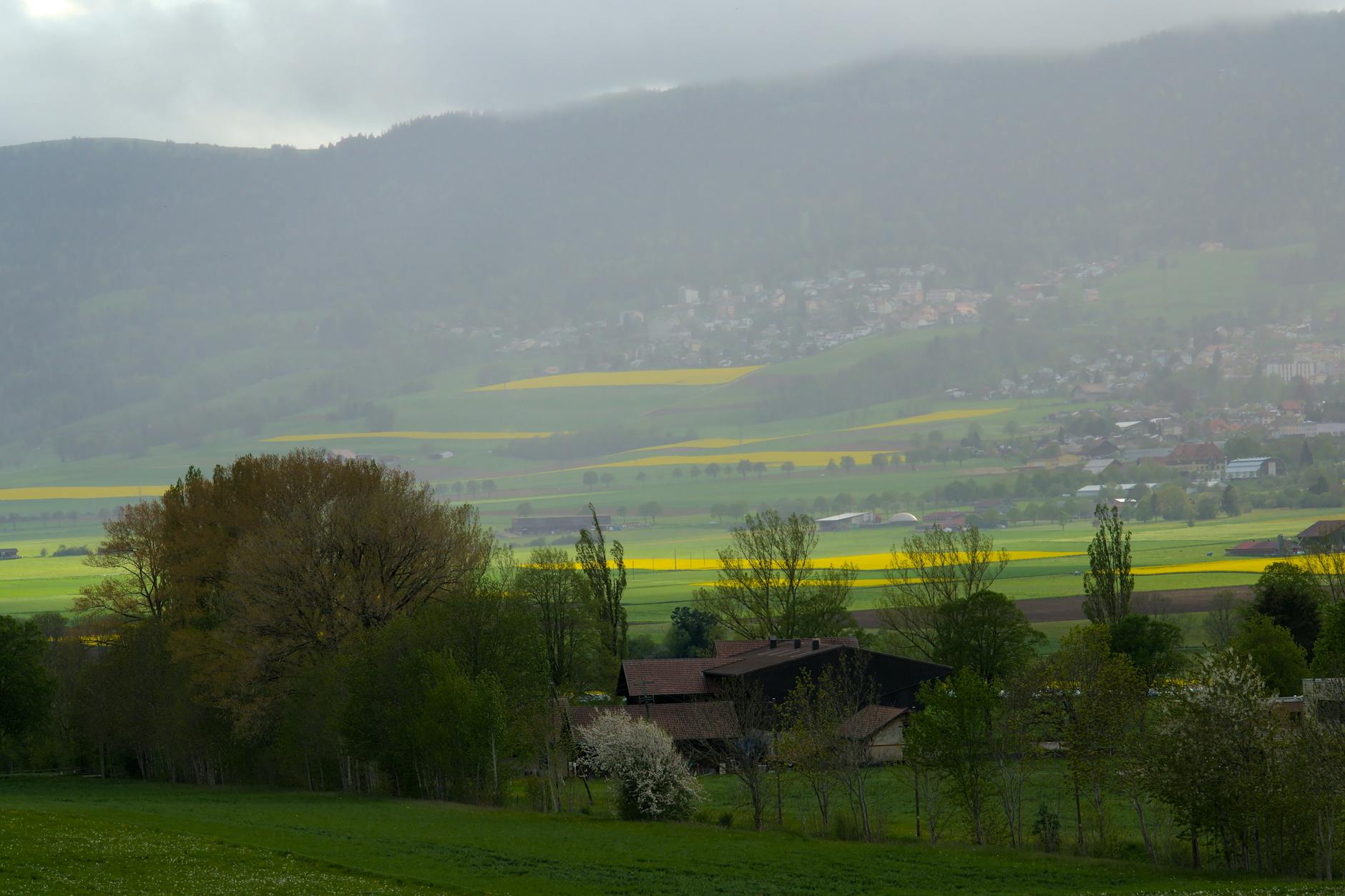 Tranquil landscape view of Val-de-Ruz, Switzerland with lush green fields and misty hills.
